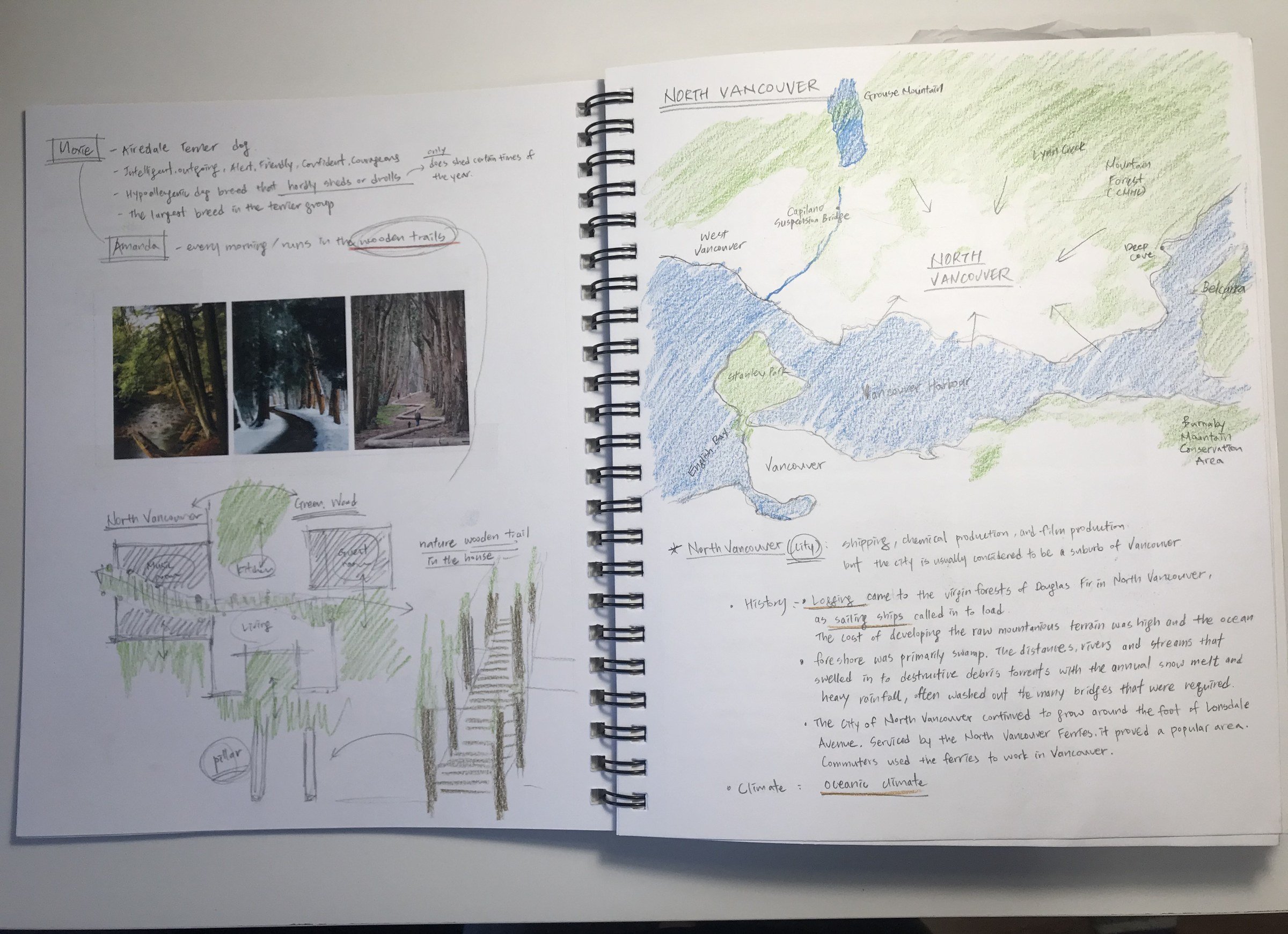 Site study, the North Vancouver shore